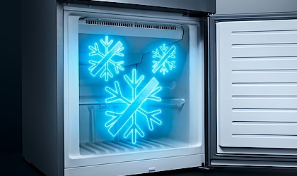 noFrost bei ECF-Reko-GmbH in Chemnitz